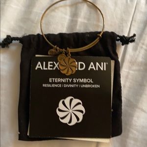 Alex and ani Eternity Symbol bracelet